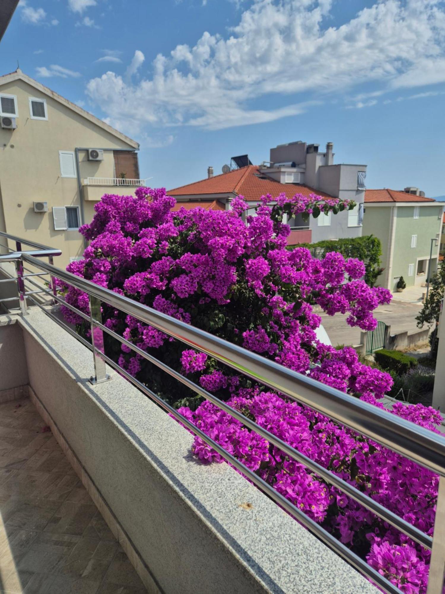 M&m-sea View & Private Parking Apartma